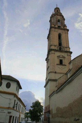 Torre Asunción y colegio